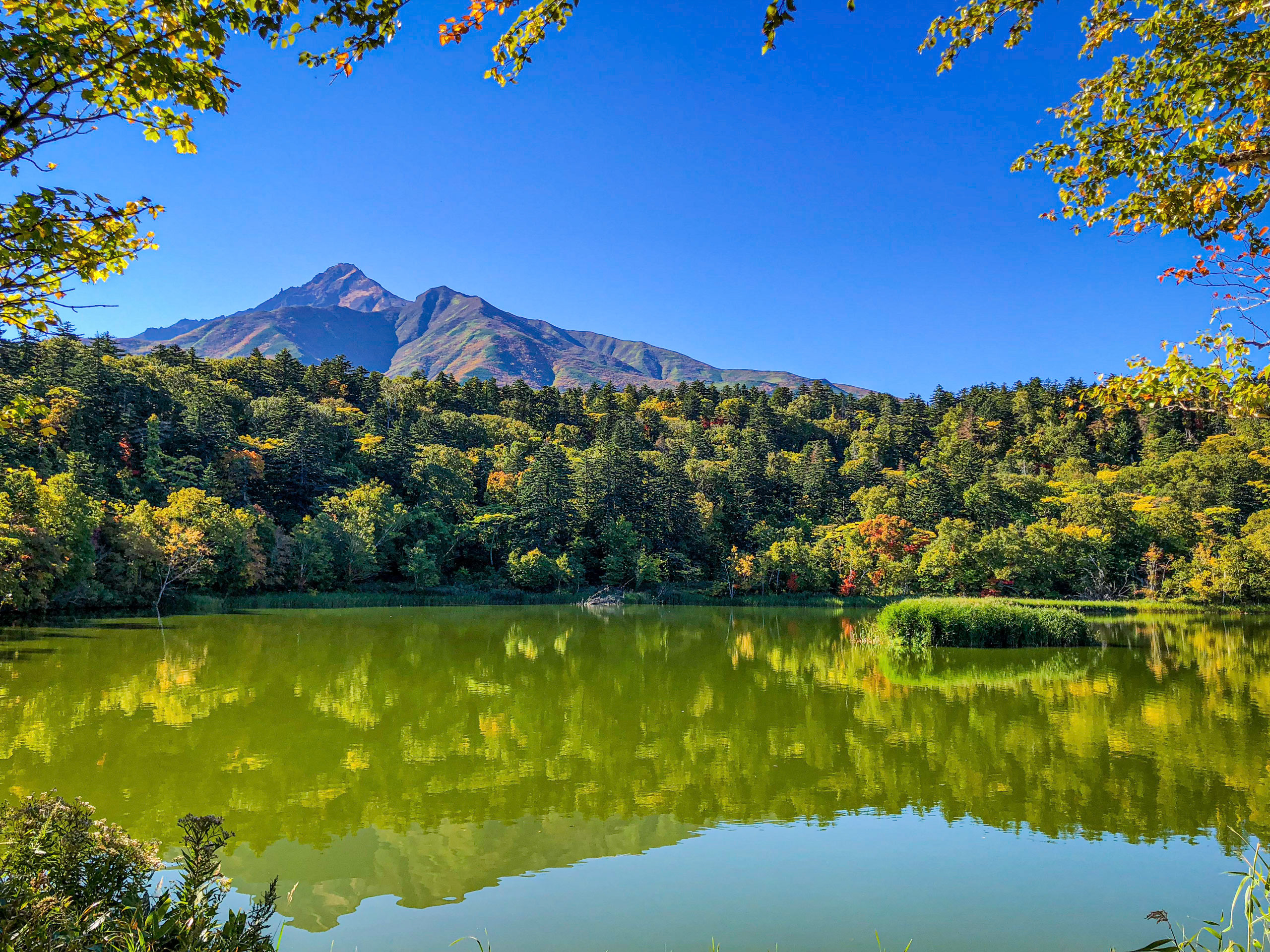 宗谷管内利尻島にある姫沼の紅葉の写真、CHI_KO Photo GalleryではSONYα7Ⅲで撮影した風景写真のダウンロードが可能です