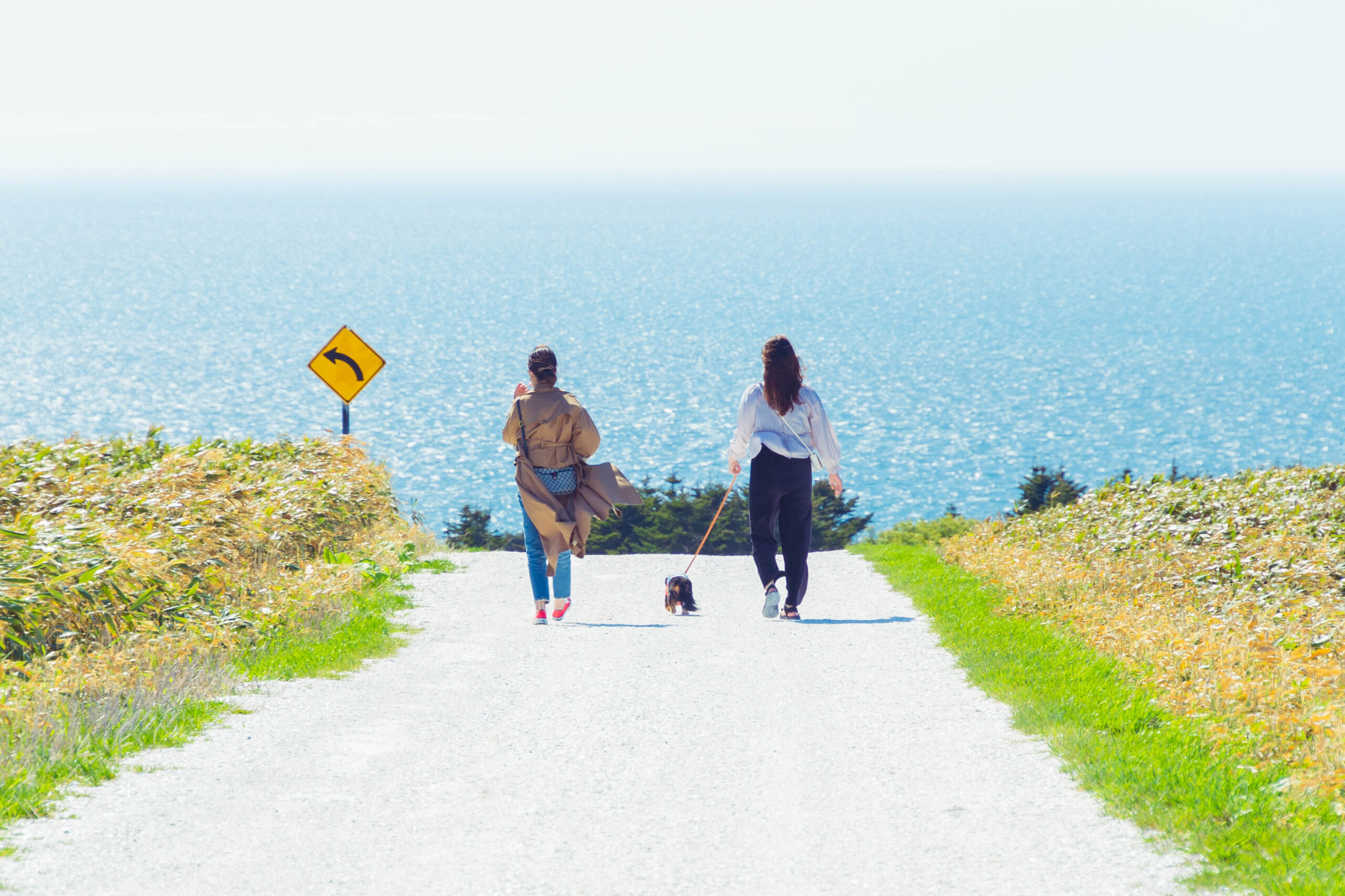 宗谷管内稚内市にある白い道の写真、CHI_KO Photo GalleryではSONYα7Ⅲで撮影した風景写真のダウンロードが可能です