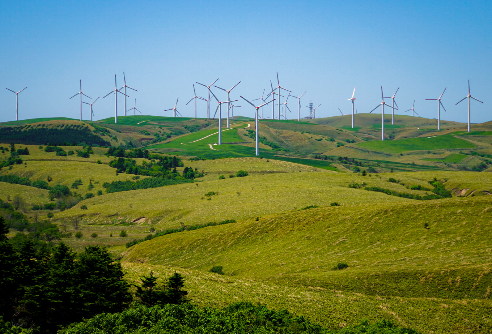 宗谷管内稚内市にある宗谷丘陵展望パーキングのウインドファームの写真、CHI_KO Photo GalleryではSONYα7Ⅲで撮影した風景写真のダウンロードが可能です