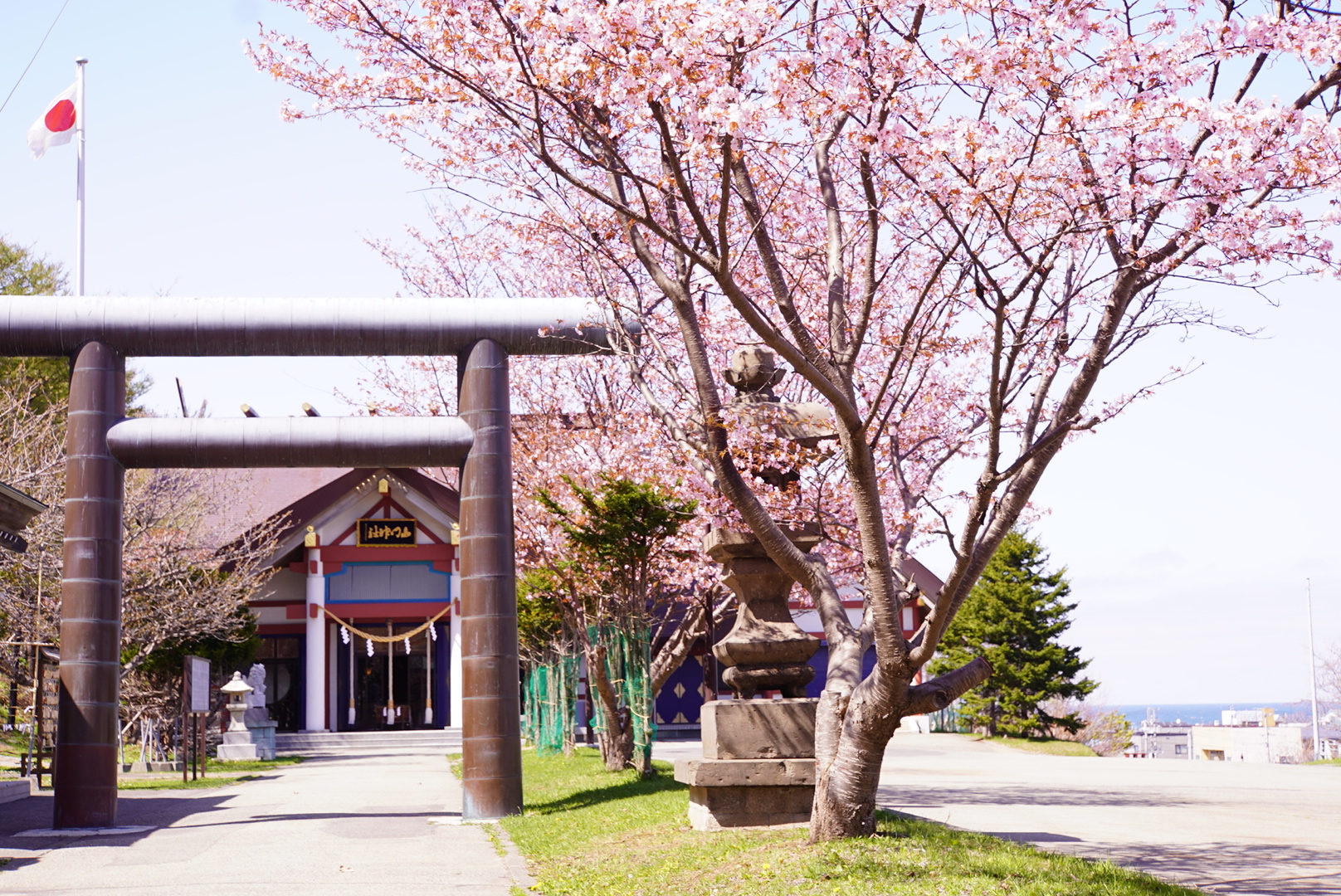宗谷管内稚内市にある最北の有人神社である北門神社の桜の写真、CHI_KO Photo GalleryではSONYα7Ⅲで撮影した風景写真のダウンロードが可能です